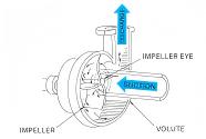 Guida alla selezione della pompa centrifuga